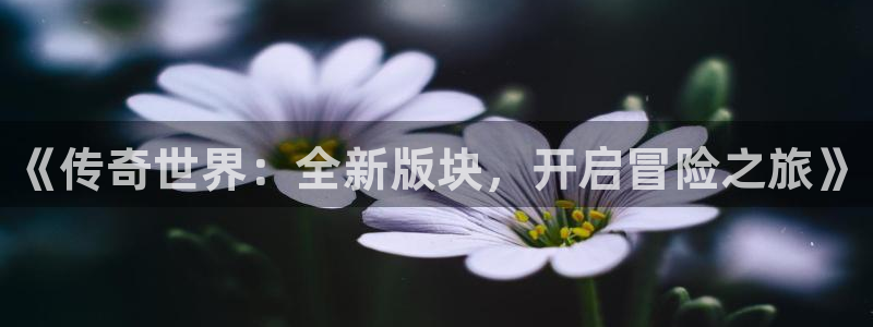 奇亿娱乐2首页登录：《传奇世界：全新版块，开启冒险之旅》