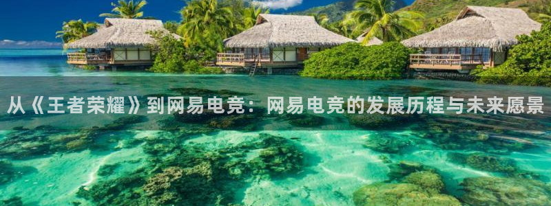 奇亿娱乐娱乐：从《王者荣耀》到网易电竞：网易电竞的发展历程与