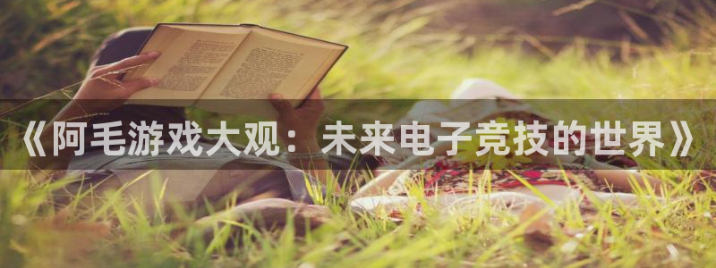 奇亿娱乐娱乐：《阿毛游戏大观：未来电子竞技的世界》