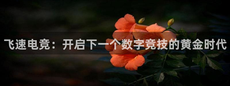 奇亿娱乐平台注册资金多少：飞速电竞：开启下一个数字竞技的黄金
