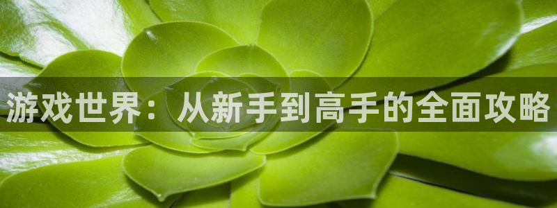 奇亿娱乐娱乐：游戏世界：从新手到高手的全面攻略