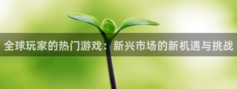 奇亿娱乐测速登陆：全球玩家的热门游戏：新兴市场的新机遇与挑战