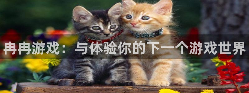 奇亿娱乐平台官网注册：冉冉游戏：与体验你的下一个游戏世界