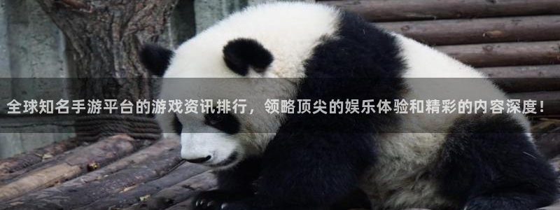 奇亿娱乐在线登录：全球知名手游平台的游戏资讯排行，领略顶尖的