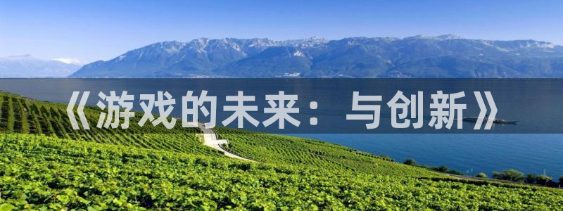 奇亿娱乐官网：《游戏的未来：与创新》