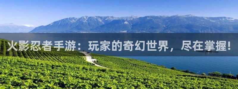 奇亿娱乐官方注册登录：火影忍者手游：玩家的奇幻世界，尽在掌握